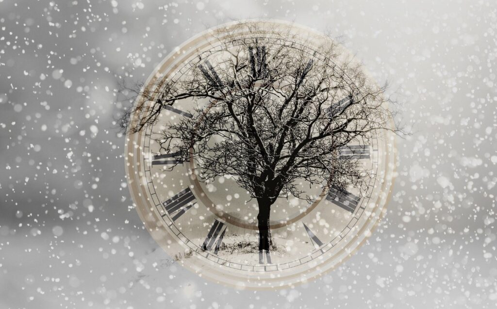 Baum innerhalb einer Uhr bedeckt mit Schnee